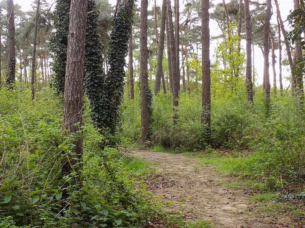 Verblijfpark De Brem Lille Exterior foto